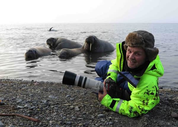 Doug Allan with walrus. The cameraman says consumerism and air travel must be curbed to preserve the inhabitants of the remotest areas of the world. Picture: Doug Allan