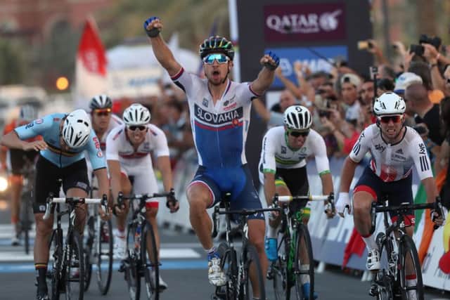 Peter Sagan wins in Doha, pipping Mark Cavendish, far right, on the line. Picture: Getty.