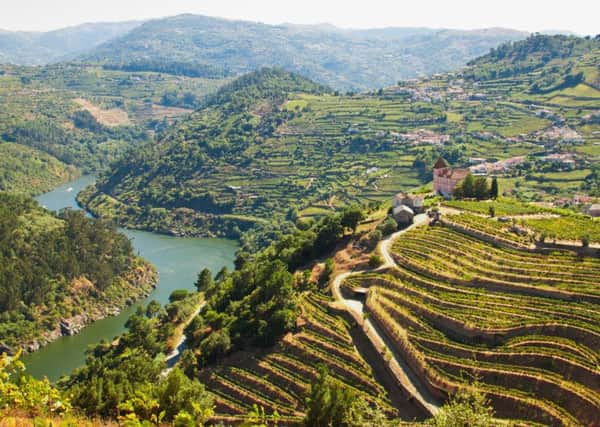 The Douro river and his vinyards. 
River Douro, Portugal.
