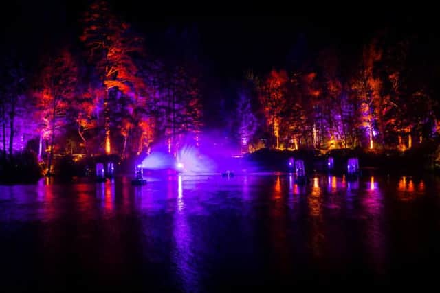 The Enchanted Forest lightshow in Pitlochry. Picture: Contributed