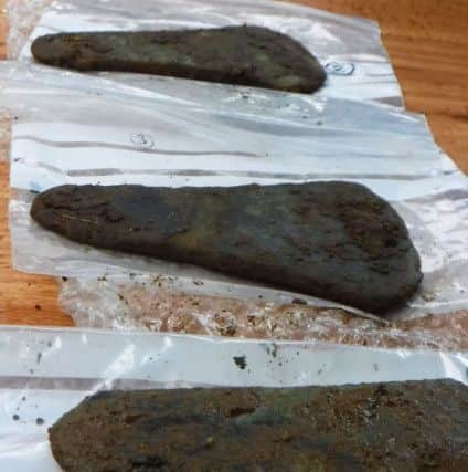 The three axe heads recovered at Arkinglas last month. PIC Contributed.