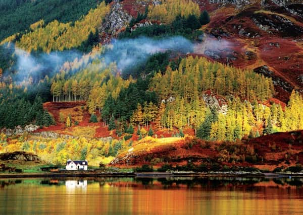 The full impact of the Land Reform (Scotland) Act is still unfolding in rural Scotland. Picture: Shutterstock