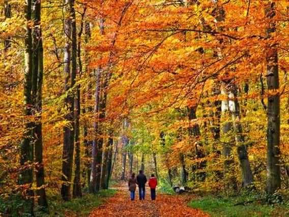 Become a nature explorer this autumn