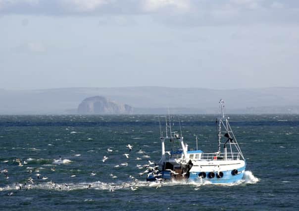 The Scottish Fishermen's Federation has said that the UK leaving the EU opens up a "sea of opportunity" for Scotland and the UK to get more of the fish taken from UK waters.