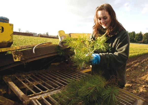 Women in Forestry