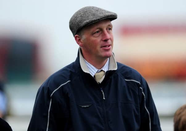 Trainer David Pipe has sent Mango Cap north from Devon for the second race at Ayr. Picture:  Dan Mullan/Getty Images