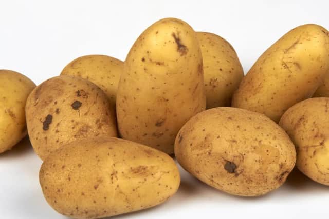 A Generic Photo of potatoes. See PA Feature GARDENING Holidays. Picture credit should read: PA Photo/thinkstockphotos. WARNING: This picture must only be used to accompany PA Feature GARDENING Holidays.