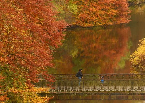 A boy in a witch's hat running over the River Kelvin, Glasgow, surrounded by autumn colour