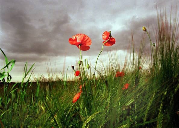 Royal British Legion has written FIFA an open letter about their poppy ban