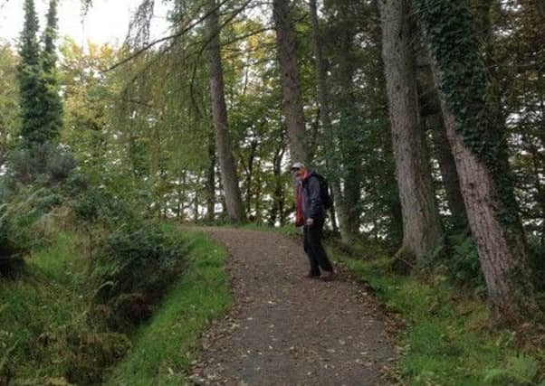 Friends of Loch Lomond and The Trossachs Vice-Chairman John Urquhart at the improved Whinney Hill footpath. Picture: Friends of Loch Lomond