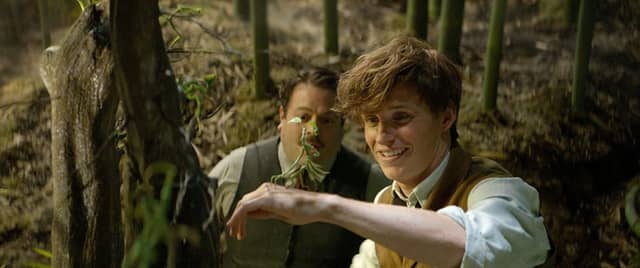 Dan Fogler as Jacob and Eddie Redmayne as Newt Scamander PIC: Warner Bros.