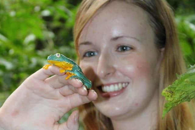 Holly with a rare Amazon leap frog. Picture: Contributed