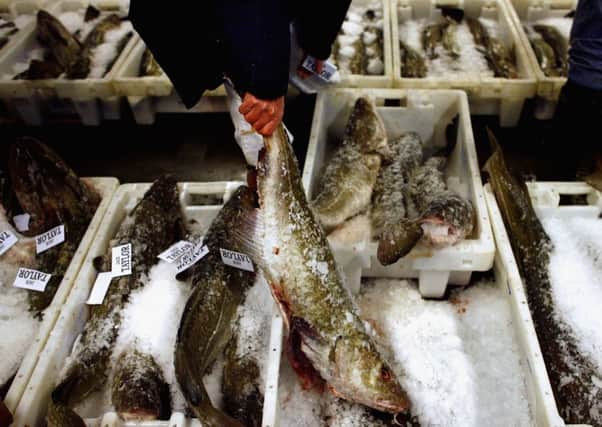 Fishermen welcome increased quotas. Picture: Jeff J Mitchell/Getty Images