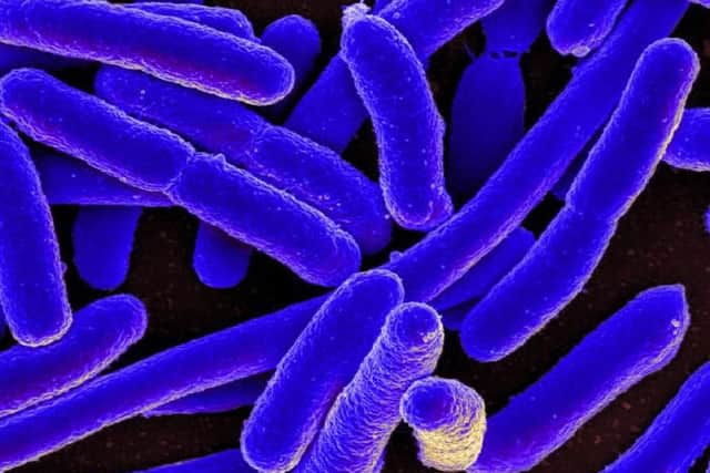 The E.coli outbreak in January saw 13 people admitted to hospital, while a toddler died.