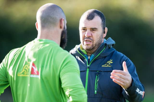 Australia coach Michael Cheika passes on instructions in training ahead of Saturday's autumn Test at BT Murrayfield. Picture: SNS