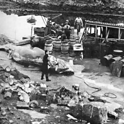 Men at work at the Soay oil processing plant with shark bones in the foreground. PIC Birlinn Books.