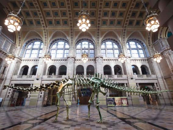 An image of what Dippy will look like when he is installed in Kelvingrove in 2019.