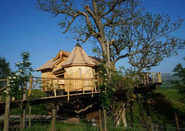 Stay in a beautiful treehouse in rural Perthshire. Picture: hutsandcabins.co.uk
