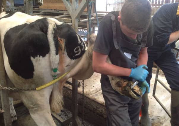 Only 4% of those running Scotland's farms are aged under 35. Picture: Contributed