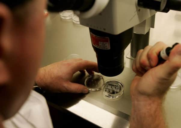 A scientist examines human embryos at an IVF clinic  (Photo by Sandy Huffaker/Getty Images)