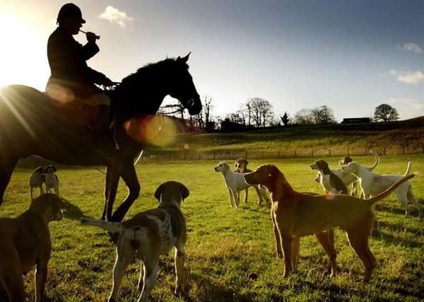 Trevor Adams Master of the Buccleuch hunt takes calls his hounds to start the hunt for a fox. Picture: David Cheskin/PA