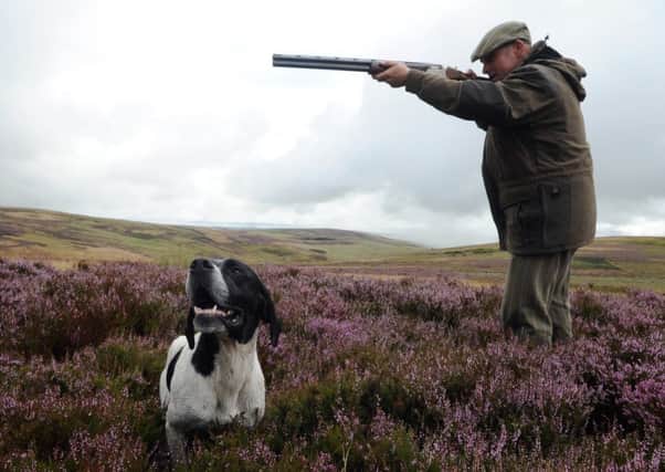 Shooting rights now come with a rateable value. Picture: Phil Wilkinson