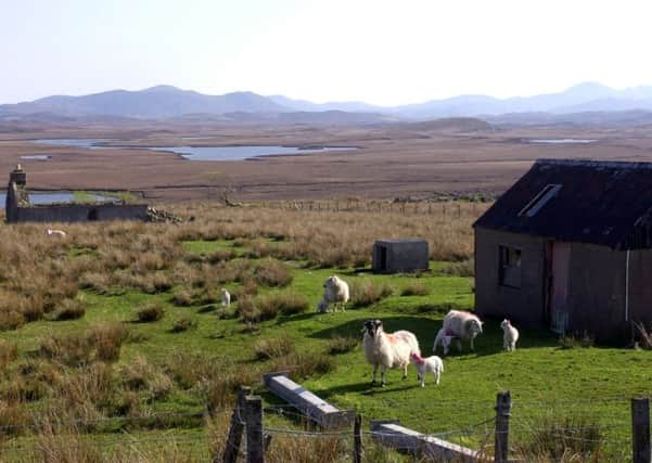 Crofts, such as this one on the Isle of Lewis, ownly rarely become available for sale on the open market. Picture: Allan Milligan/TSPL