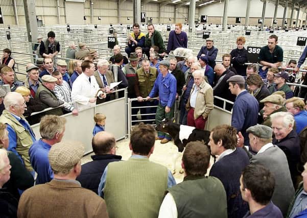 Lanark Mart hosted the LiveScot event on Saturday. Picture: Contributed