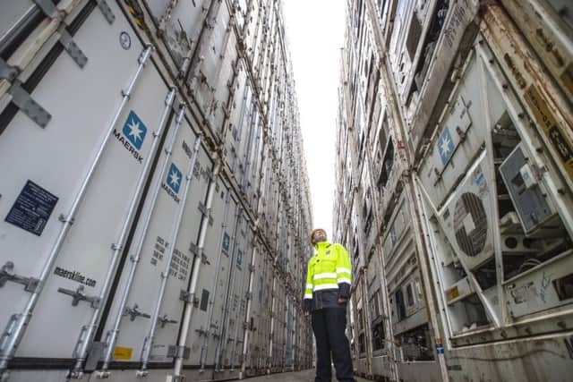 Grangemouth has seen an upturn in the 'reefer' business. Picture: Peter Devlin