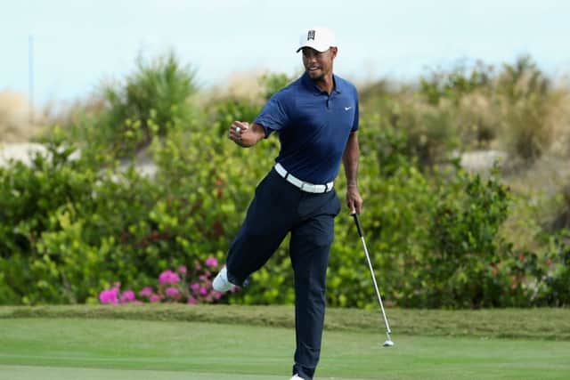 Tiger Woods celebrates saving par on the 16th green during round two of the Hero World Challenge in the Bahamas. Picture: Christian Petersen/Getty Images