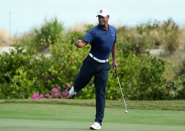 Tiger Woods celebrates saving par on the 16th green during round two of the Hero World Challenge in the Bahamas. Picture: Christian Petersen/Getty Images