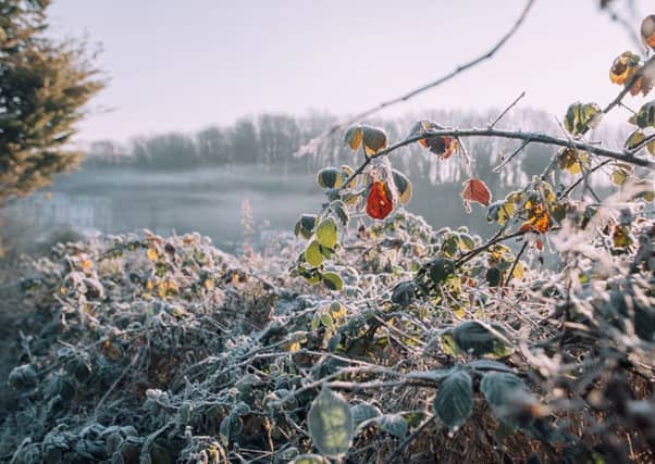 Scotland is set to get a reprieve from the cold snap of recent weeks. Picture: SWNS