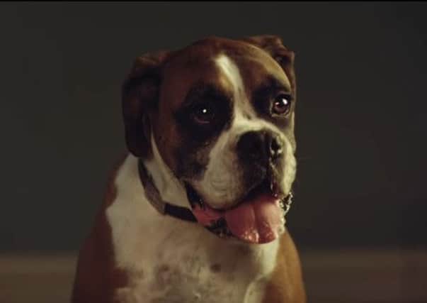 The John Lewis adverts have become a Christmas institution. Picture: Contributed