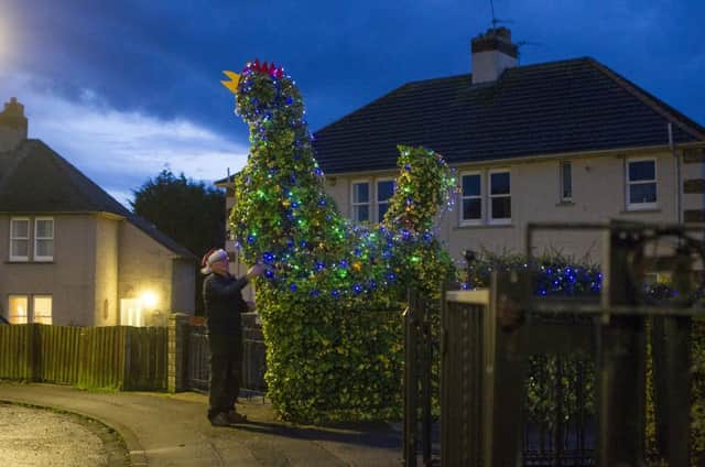 Jim Hughes of East Wemyss in Fife, puts the finishing touches to his Christmas cockerel. Picture: SWNS