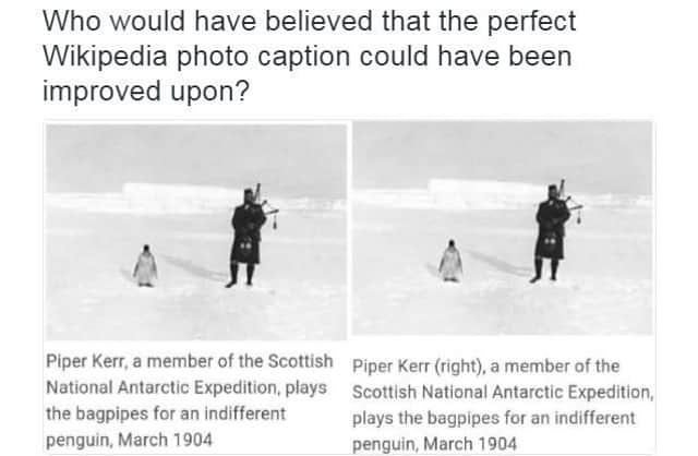 A subtle, yet hilarious edit. Picture: Twitter/AlanFerrier/Wikipedia