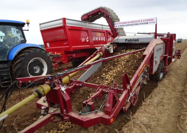 Potato production rose 9% north of the Border last year. Picture: Contributed