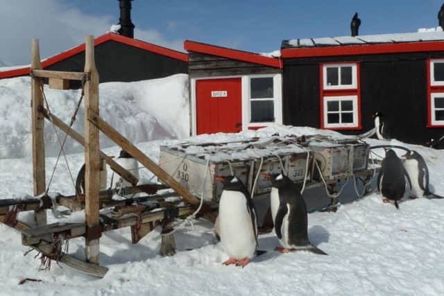 The hut at Port Lockroy where Laura MacNeil will be based for four months.