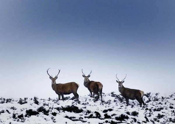 We've picked out a handful of places where you're guaranteed to have a white Christmas. Picture: PA