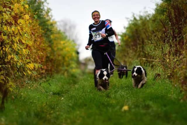 Canicross. Picture: Laura Morgan/ www.lm-images.uk