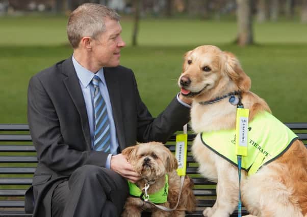 Willie Rennie with therapy dogs. Picture: Toby Williams