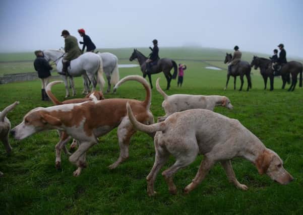Animal rights campaigners are calling on the Scottish Government to make this year's Boxing Day hunts the last. Picture: Jon Savage