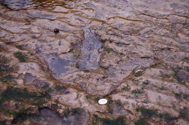 One of the prehistoric dinosaur footprints found at Staffin on the Isle of Skye. Picture: Contributed