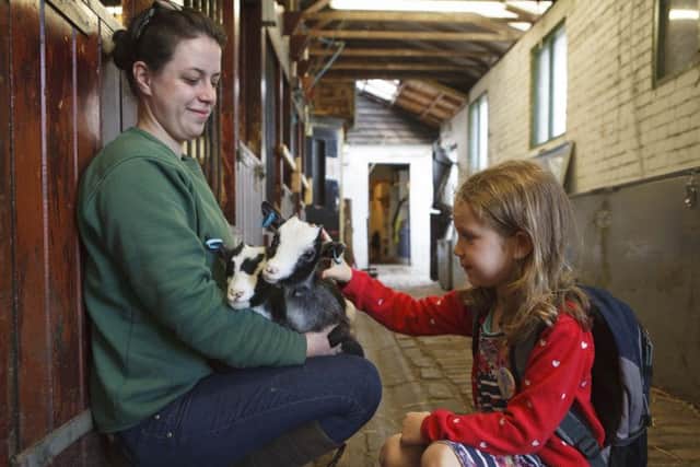 Edinburgh's Gorgie City Farm was among the good causes supported by Aberdeen Asset Management. Picture: Toby Williams