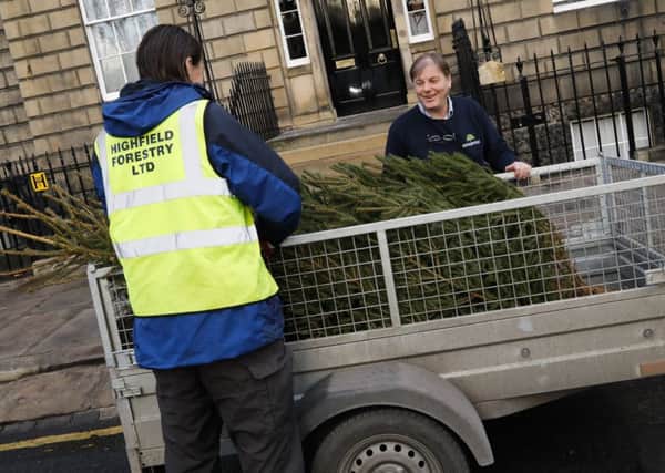 Highfield Forestry Commission collecting Christmas tree from Bute House.