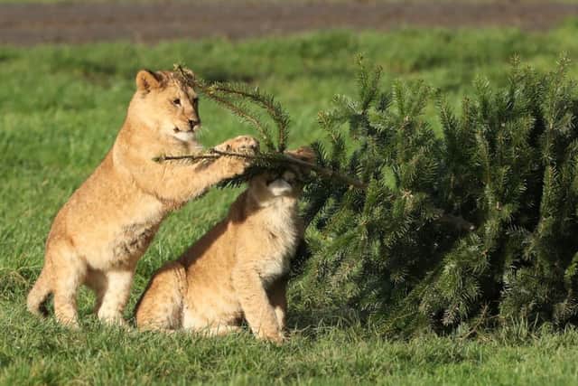 Picture: Andrew Milligan/PA Wire