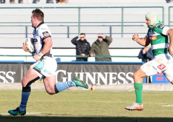 Glasgow's Stuart Hogg, playing at stand-off, breaks up the middle of the field against Treviso at Stadio Monigo. Picture Fotosport/Daniele Resini