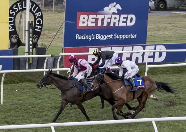 Suberb Story wins the Totepool Mobile Hogmaneigh Hurdle at Musselburgh. Picture: Alan Rennie