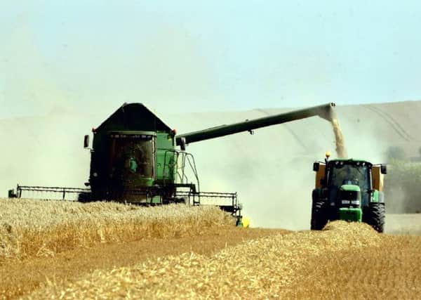 The fall in sterling has given UK grain producers a boost. Picture: Chris Young/PA