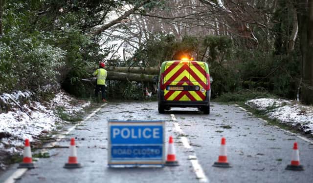 SSE engineers clear fallen trees from a road near Yetts O'Muckhart, east of Stirling. Picture: Andrew Milligan/PA Wire