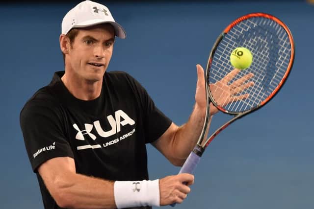 Andy Murray could meet Roger Federer, Stan Wawrinka and Novak Djokovic at the Australian Open. Picture: Paul Crock/AFP/Getty Images